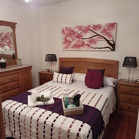 Apartamento Penedo, Camino Portugus-Con Plaza De Garaje Gratis 圣地亚哥－德孔波斯特拉 外观 照片